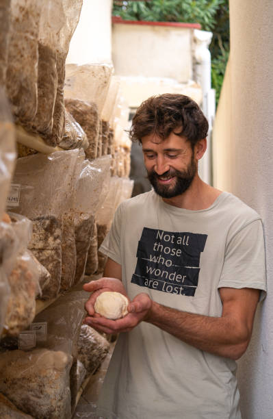 Cultivo de Cogumelos Resultado 3