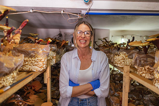 Cultivo de Cogumelos Resultado 4